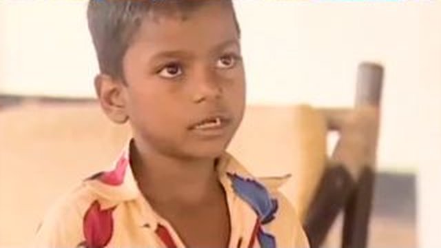সেনিনে