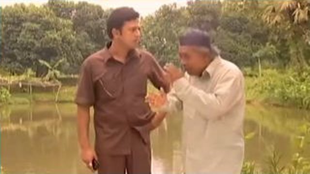 আম্যন পালো দানে